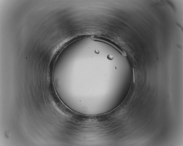 X0000102790252200809021120