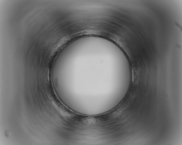 X0000102790253200809021120