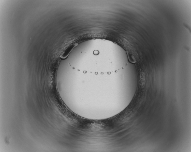 X0000102790255200809021120