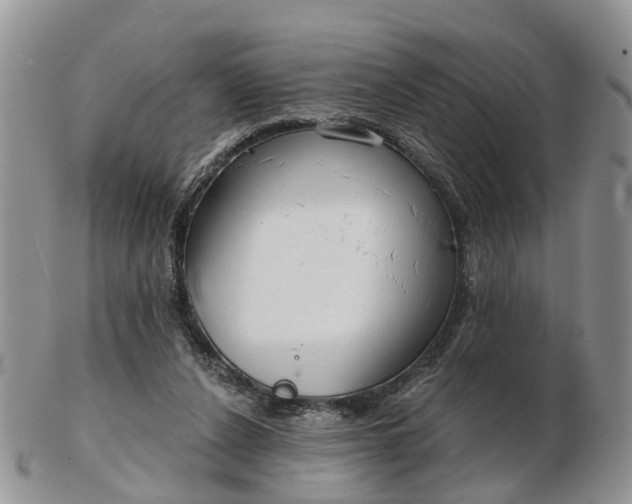 X0000102790256200809021120