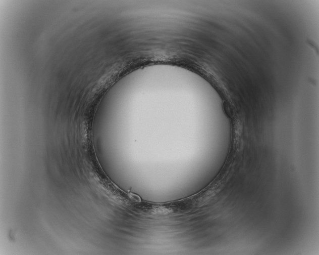 X0000102790257200809021120