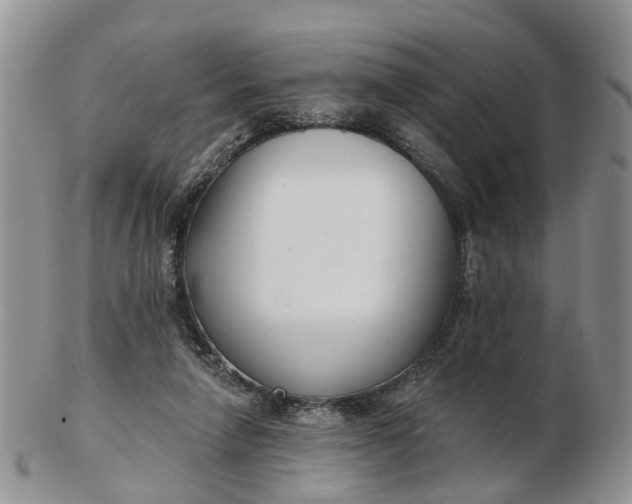 X0000102790258200809021120