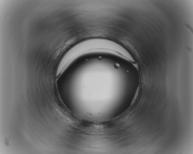 X0000102790260200809021121