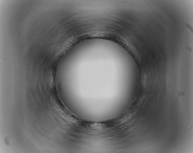 X0000102790261200809021121