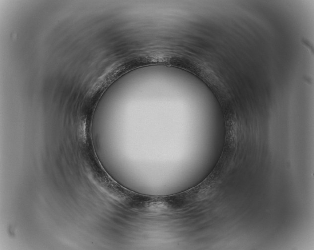 X0000102790262200809021121