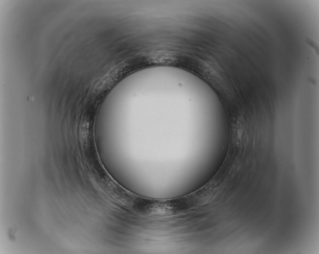 X0000102790263200809021121