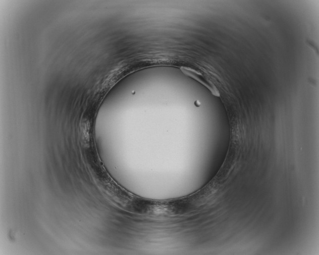 X0000102790264200809021121