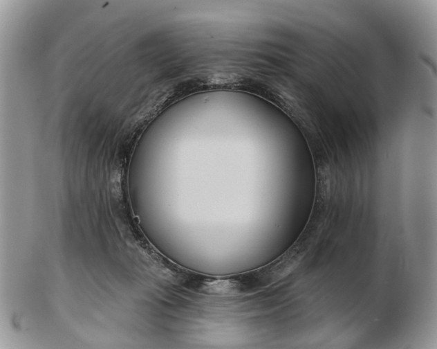 X0000102790269200809021121