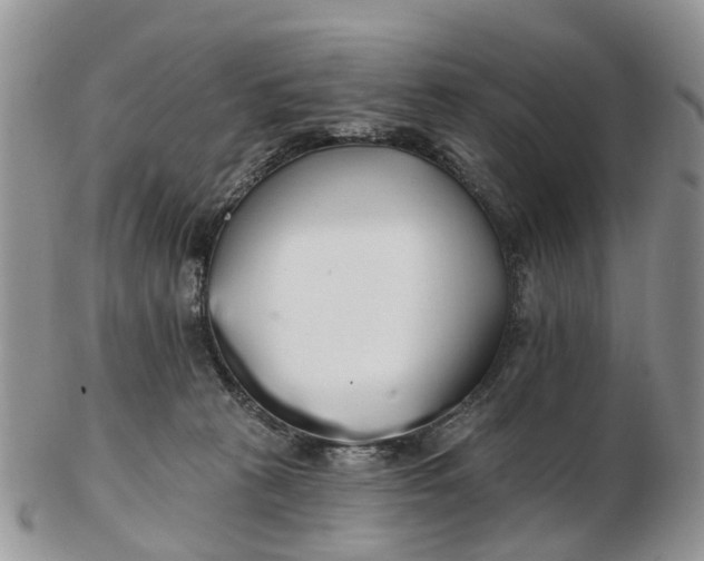 X0000102790273200809021121