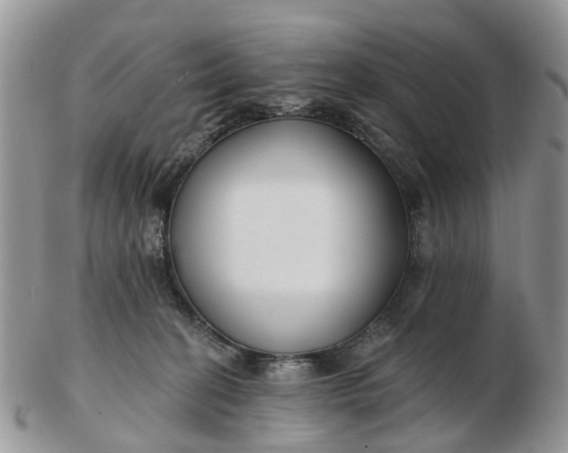 X0000102790274200809021121