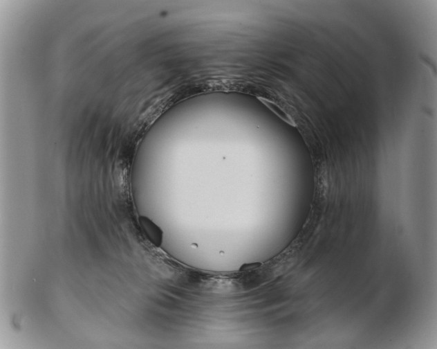 X0000102790276200809021121