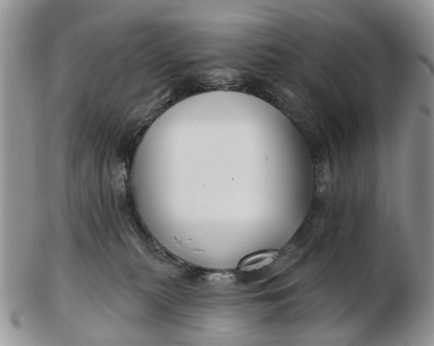 X0000102790279200809021121