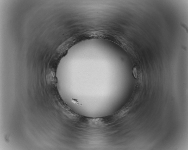 X0000102790281200809021121