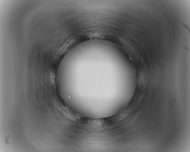 X0000102790282200809021121