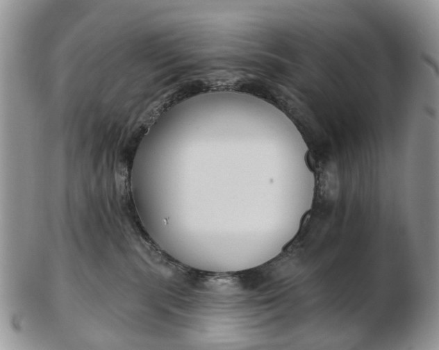 X0000102790283200809021121