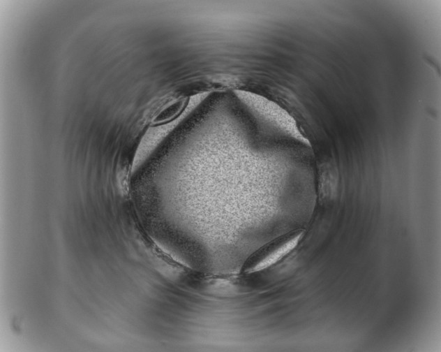 X0000102790285200809021121