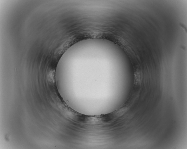 X0000102790286200809021121