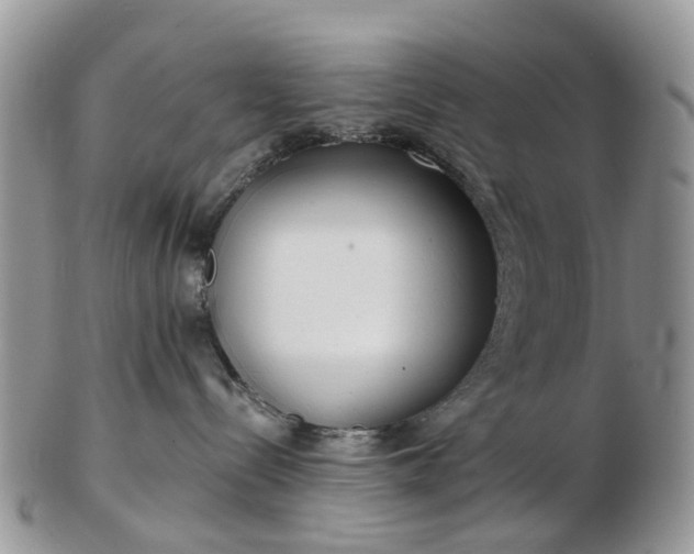 X0000102790288200809021121