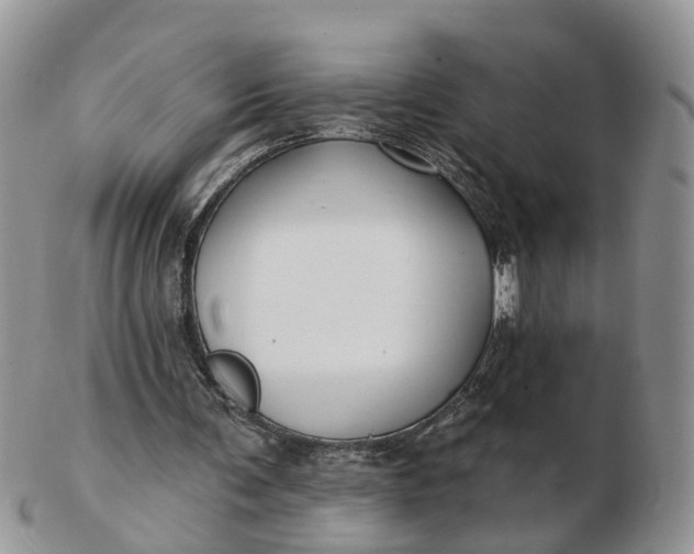 X0000102790291200809021120