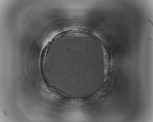 X0000102790292200809021120