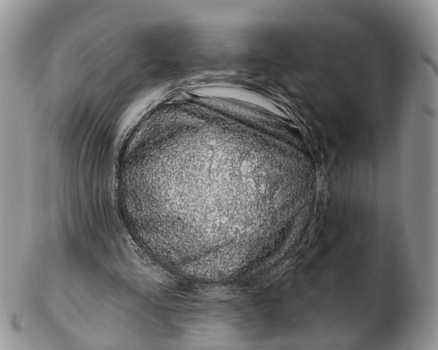 X0000102790293200809021120