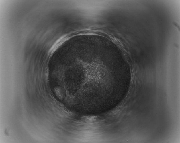 X0000102790295200809021120