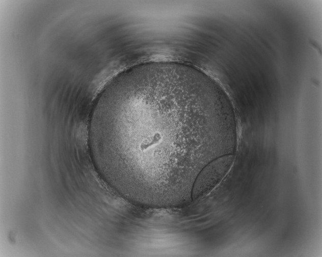 X0000102790297200809021120