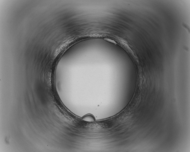 X0000102790299200809021120