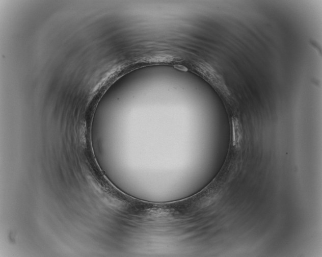 X0000102790300200809021120