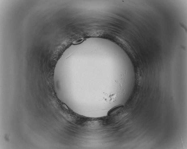 X0000102790307200809021120