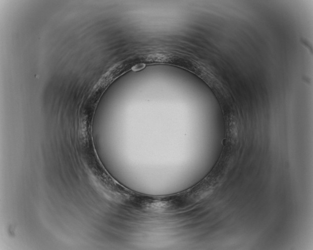 X0000102790312200809021120