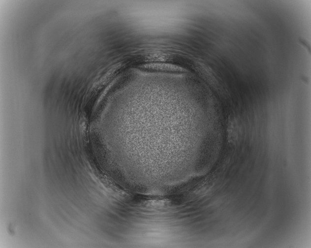 X0000102790314200809021120