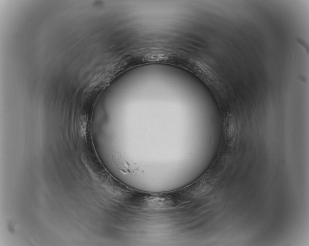 X0000102790315200809021120