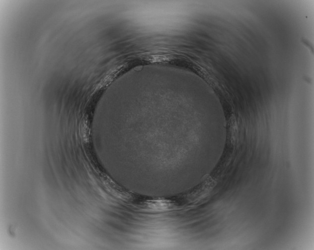 X0000102790316200809021120