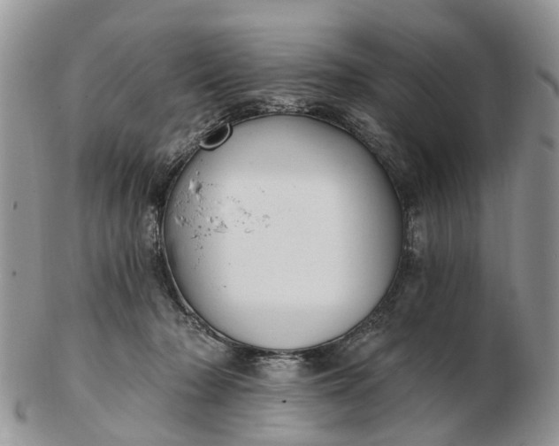 X0000102790318200809021120