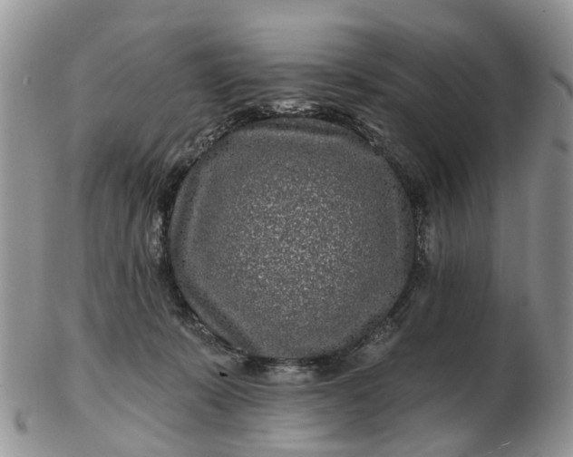 X0000102790319200809021120