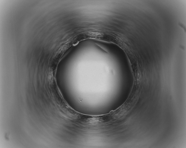 X0000102790320200809021120