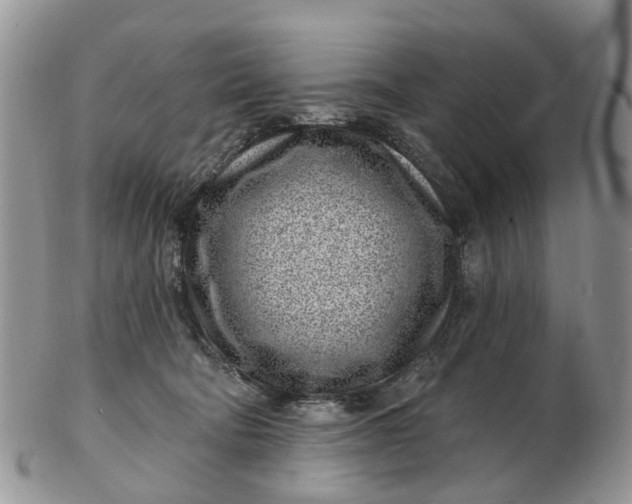 X0000102790322200809021120