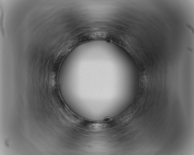 X0000102790323200809021120