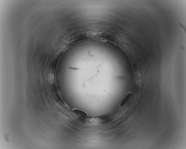 X0000102790324200809021120