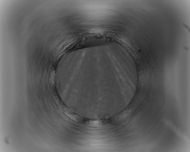 X0000102790325200809021120