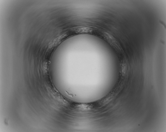 X0000102790326200809021120