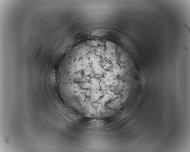 X0000102790328200809021120