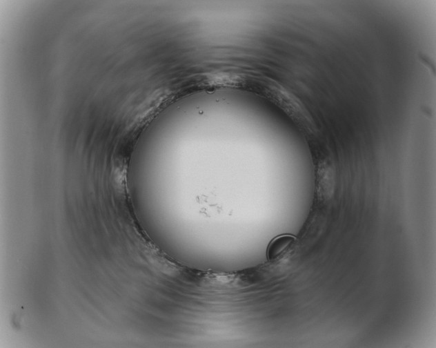 X0000102790329200809021120