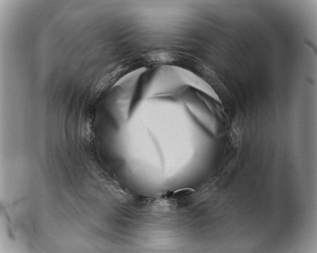 X0000102790330200809021120