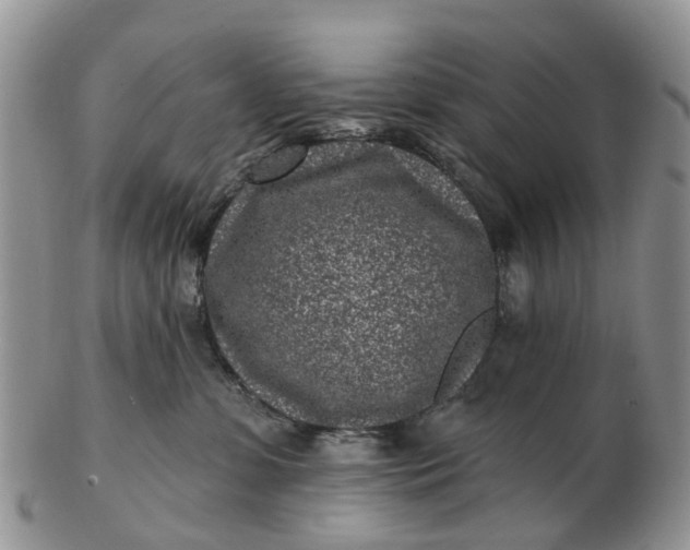 X0000102790331200809021120