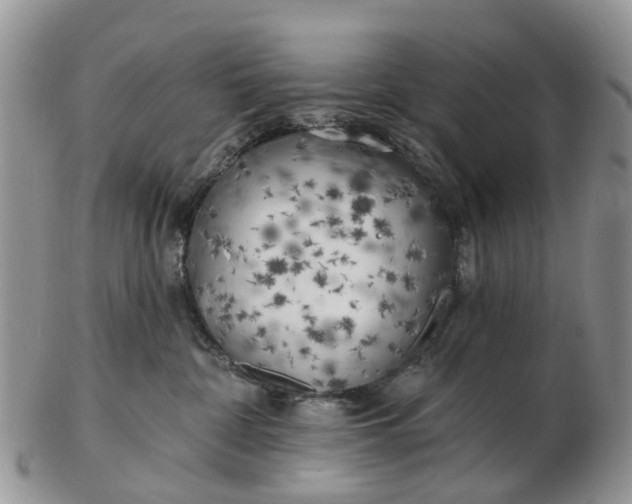 X0000102790332200809021120