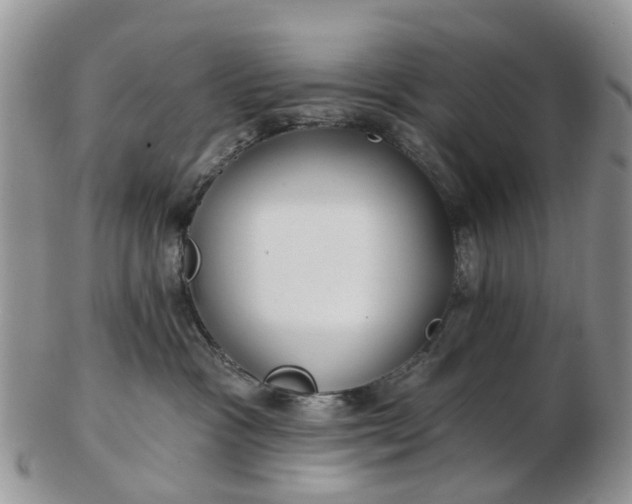 X0000102790333200809021120