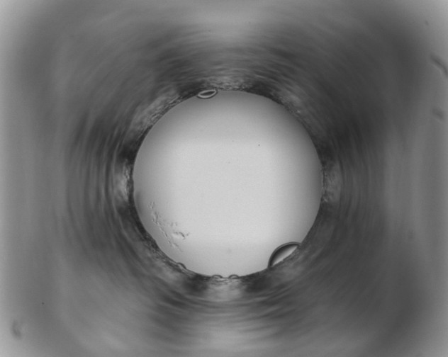 X0000102790334200809021120