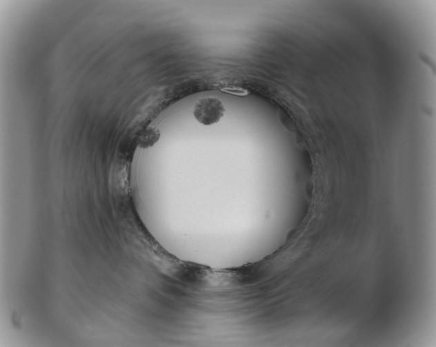 X0000102790336200809021120